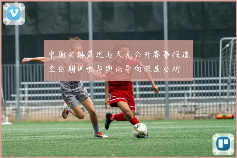 中国女排最近七天无公开赛事报道空白期训练与舆论导向深度分析